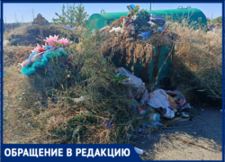 Волжане в ужасе от свалок и сухостоя на кладбище № 4,  где хоронят героев СВО