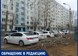 "Двор завалили сухим валежником",- волжанка