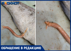 Рыбу с червями продали в гипермаркете в Волжском: фото