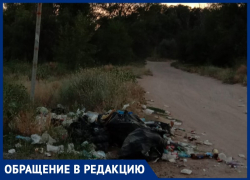 «Круглое скоро исчезнет под слоем мусора», - волжанка о свалке на подступах к озеру