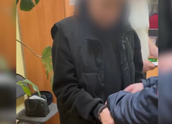 В Волжском задержали отравителя лошадей