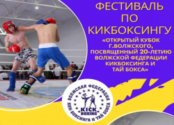 Оперштаб разрешил провести в Волжском фестиваль по кикбоксингу