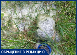 Экологическая катастрофа в СНТ «Цветущий сад»: садоводов травят нечистотами из водопровода