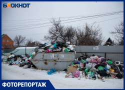 На острове Зеленый волжский СНТ «Труд» захлебывается в отходах