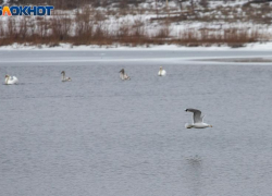 Мороз крепчает: погода в Волжском на выходных