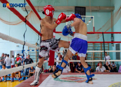 Волжане завоевали медали на открытом турнире по  кикбоксингу «Спортивное поколение»