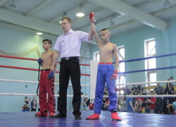 Волжские кикбоксеры завоевали 8 золотых медалей