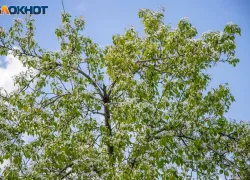 Волгоградская область усиливает борьбу с экологическими правонарушениями с помощью дронов