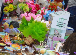 Поделки волжан помогут спасти бездомных животных 