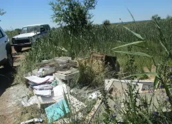 В Волжском продолжают штрафовать за несанкционированный выброс мусора