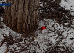 Убирают ли ваш двор? Власти Волгоградской области начали масштабные проверки УК