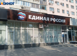 В Волжском началось предварительное голосование в ЕР: как проголосовать за своего кандидата - инструкция