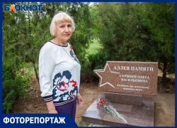 В Волжском восстановили разбитую школьниками мемориальную доску Олега Скрипки