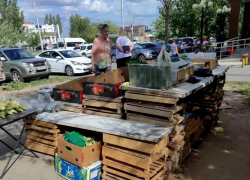 В Волжском усилили рейды против несанкционированной торговли