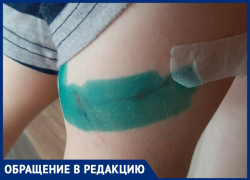 3-летнего мальчика чуть не растерзали собаки: теперь ребенок боится выходить на улицу в Волжском