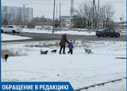 В новой части города свора собак напала на женщину с ребенком, - волжанин