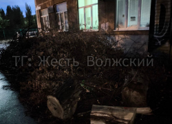 В Волжском рискуют жизнью детей? Клуб для малышей «Мечтатель» — на пороховой бочке