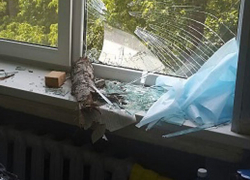 Сухой тополь протаранил три этажа поликлиники №2 в Волжском