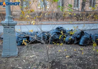 Управляющие компании отчитаются перед волжанами за свою работу