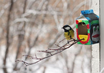 Волжан приглашают принять участие в акции «Покормите птиц зимой»