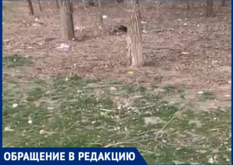 Участок возле «Магнита» на выезде возмущает жителей Волжского: видео