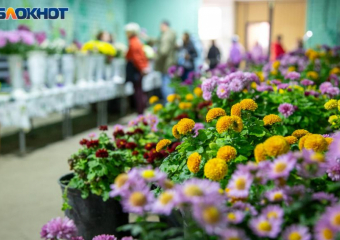 В Волжском закрыли для посещений теплицы ботсада