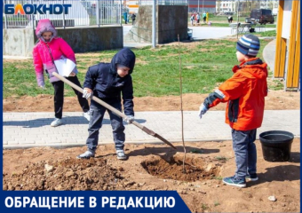 Волжане платят дворникам за полив деревьев в парке ПКиО «Новый Город»