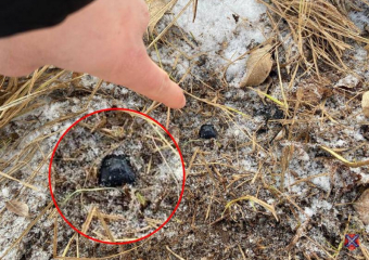 В Среднеахтубинском районе задержаны волжане за организацию наркозакладок