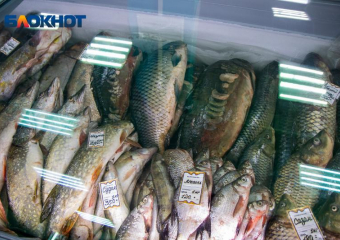 Какие паразиты встречаются в пресноводной рыбе и как они могут навредить здоровью волжан?