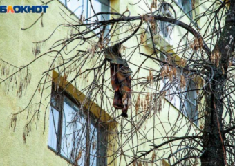 ﻿11-летняя девочка выпала из окна в Волгограде: организована проверка