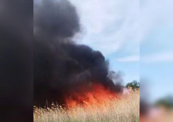 В Волжском у СНТ «Изобилие» вспыхнул пожар