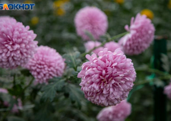 Выходные в Волжском будут хмурыми: прогноз погоды