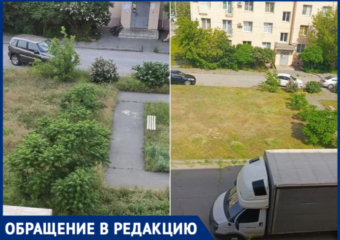 «Косим траву за свой счет»: волжане спасают детей от клещей и крыс, пока УК бездействует