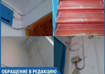 В стенах квартир живут мыши и огромные тараканы, - волжанка