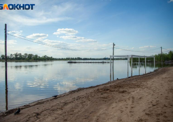 Зачем наши предки поливали дубы собственной кровью: приметы