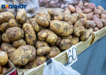 Аномальное снижение цен на сезонные овощи зафиксировано в Волжском