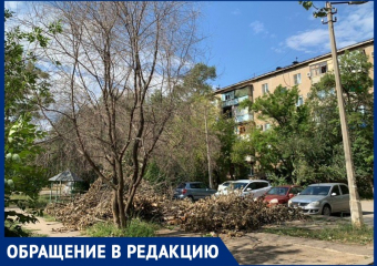 УК не реагирует на сухостои, представляющие угрозу жителям в Волжском