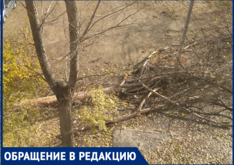 В Волжском до сих пор разбираются с последствиями урагана