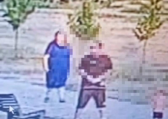 В Волжском в парке у 10-летней девочки украли телефон