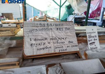 «Колхозный» рынок Волжского: от главного вещевого базара до места для покупок рассады и овощей