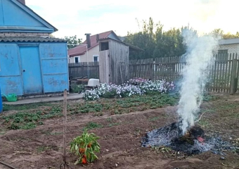 Волжанам напомнили о штрафах за костры и сжигание мусора