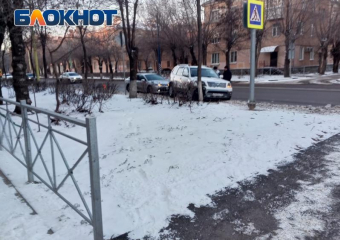 Иномарка врезалась в дерево в Волжском: фото с места