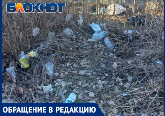 Сухи ветки, пластик и другой мусор: как захламлен один из дворов Волжского