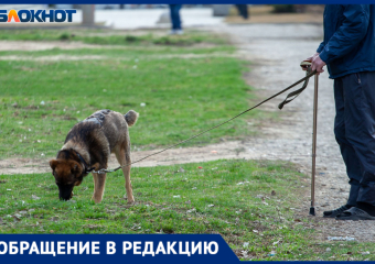 «Город принадлежит всем»: волжанка Алена попросила владельцев собак соблюдать правила выгула