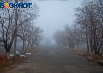 Синоптики объявили «желтый» уровень погодной опасности в Волгоградской области из‑за густого тумана