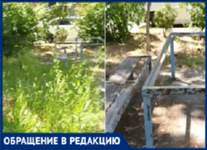 «Нога человеческая не проходила»: волжанка сняла на видео двор на Карбышева с травой по пояс и гнилыми лавочками