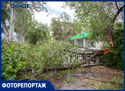 Ночной ураган в Волжском: поваленные деревья, оборванные провода и разрушения