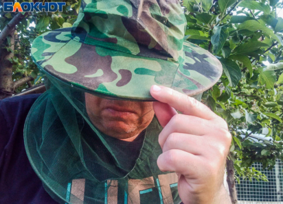 Массовое нашествие мошкары обещают в Волжском весной 2026