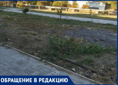 «Сад памяти» героям ВОВ в Волжском превратился в засохший пустырь через год после открытия