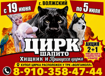 Билеты в цирк по акции 2+1